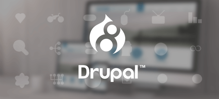 Какво различава Drupal от други CMS системи?